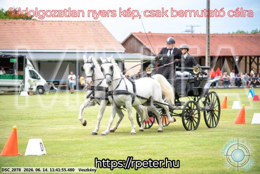 Mintakép 20260614-30
