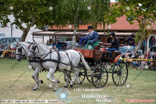 20260905-112943-DSC_4673.jpg