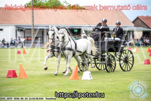 Mintakép 20260614-31