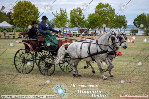 Mintakép 20260905-464