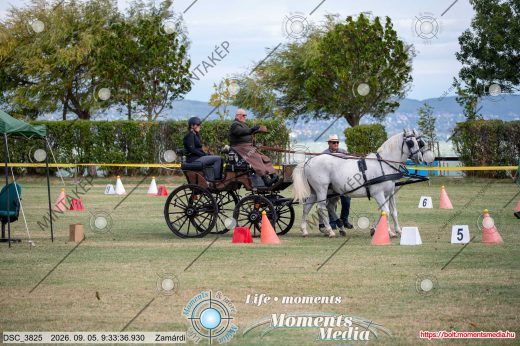 20260905-093336-DSC_3825.jpg