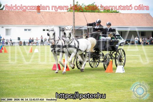 Mintakép 20260614-32