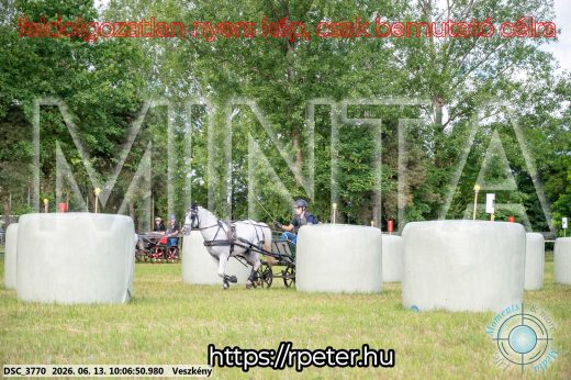 Mintakép 20260613-1836