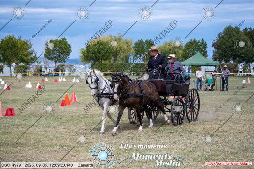 Mintakép 20260905-756