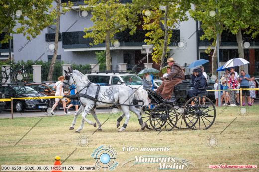 Mintakép 20260905-808