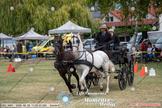 20260905-110323-DSC_4451.jpg