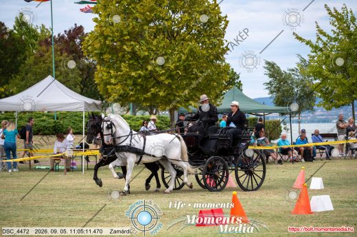 Mintakép 20260905-838