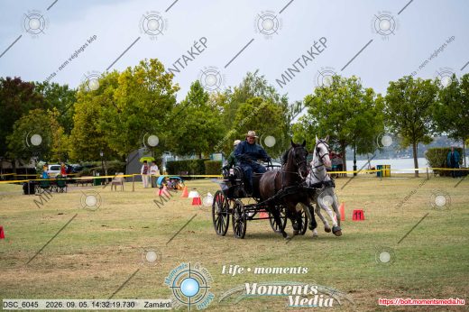 Mintakép 20260905-854