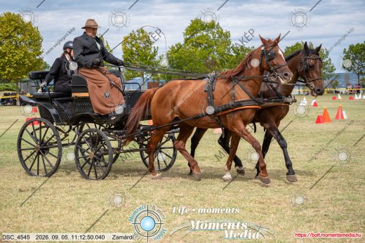 Mintakép 20260905-877
