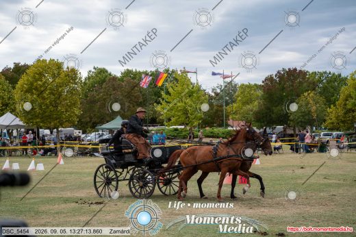 Mintakép 20260905-900