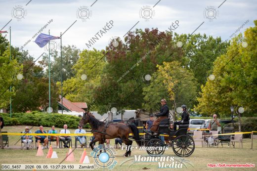 Mintakép 20260905-903
