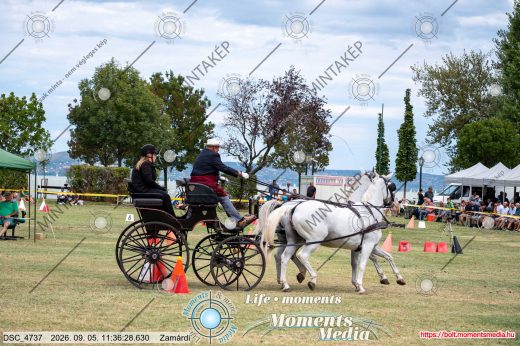 Mintakép 20260905-934