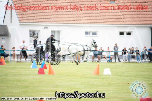 Mintakép 20260614-36
