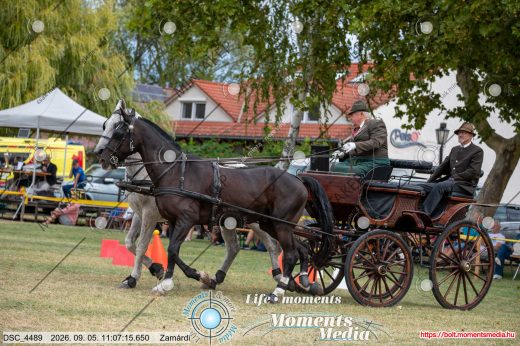 20260905-110715-DSC_4489.jpg