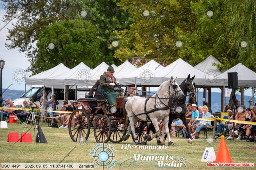20260905-110741-DSC_4491.jpg