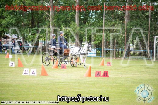 Mintakép 20260614-937