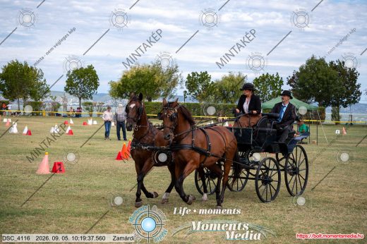 Mintakép 20260905-1019