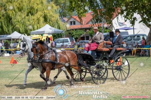 20260905-122144-DSC_5065.jpg