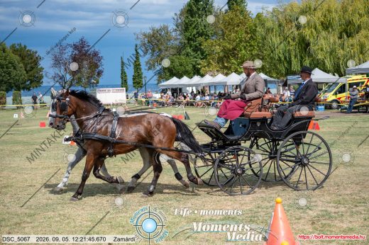 20260905-122145-DSC_5067.jpg