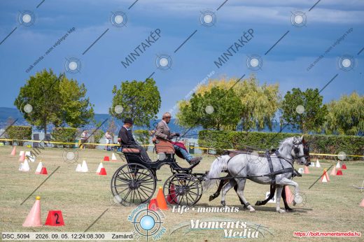 Mintakép 20260905-1065