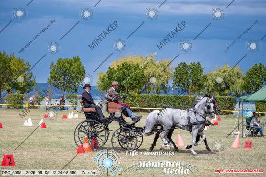 Mintakép 20260905-1066