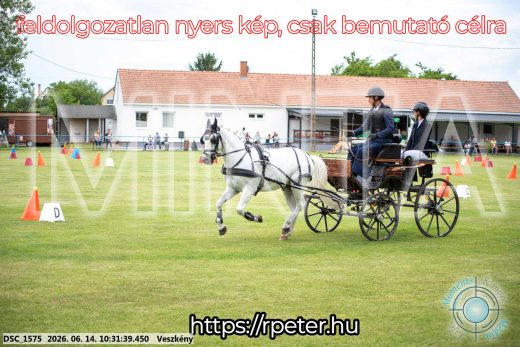 Mintakép 20260614-945