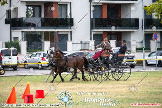 Mintakép 20260905-1081