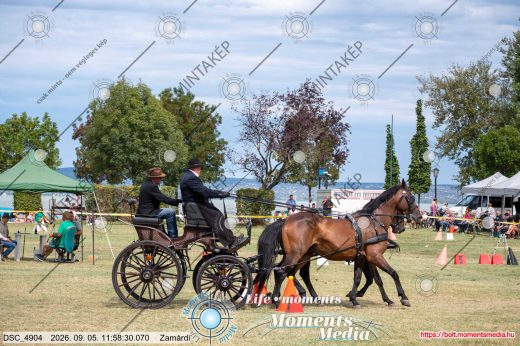 Mintakép 20260905-1110