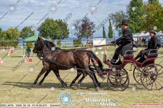 Mintakép 20260905-1131
