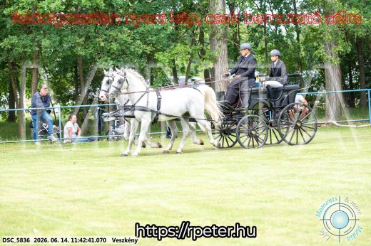 Mintakép 20260614-38