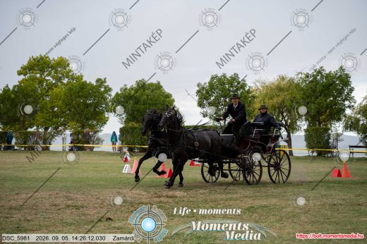 Mintakép 20260905-1181