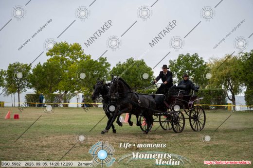 Mintakép 20260905-1182