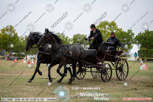 Mintakép 20260905-1184
