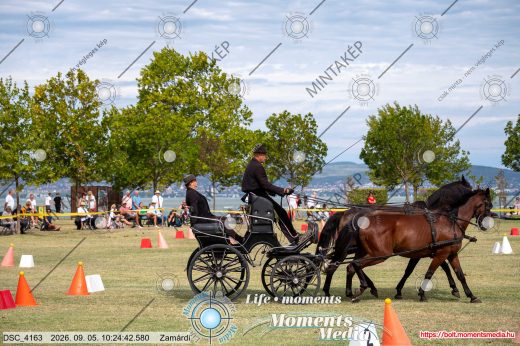 Mintakép 20260905-1195