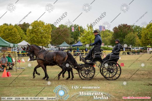 Mintakép 20260905-1228
