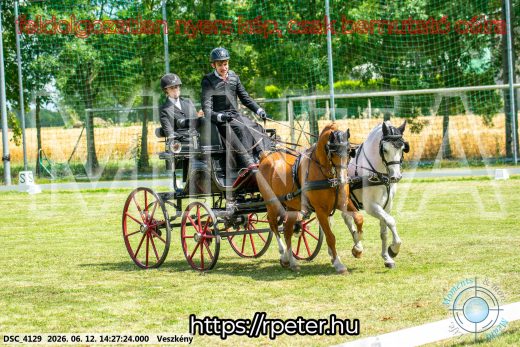 20260612-142724-DSC_4129.jpg