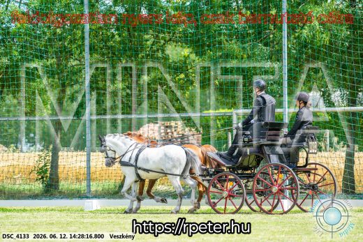 Mintakép 20260612-831