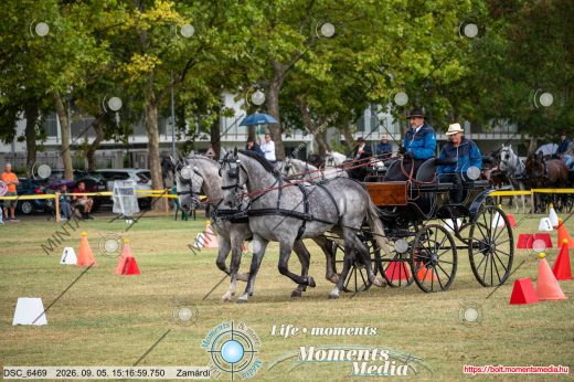 Mintakép 20260905-1351