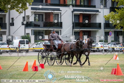 Mintakép 20260905-1367