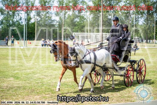 Mintakép 20260612-843