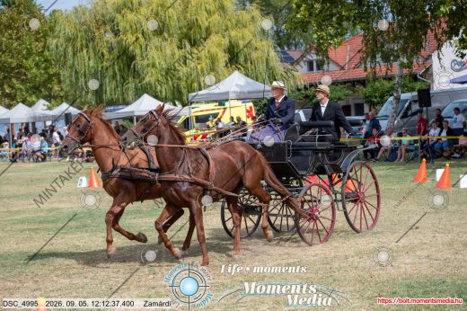 20260905-121237-DSC_4995.jpg