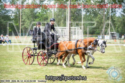 Mintakép 20260612-845