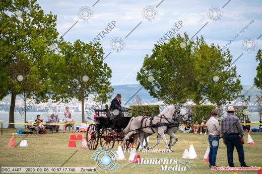 Mintakép 20260905-1475