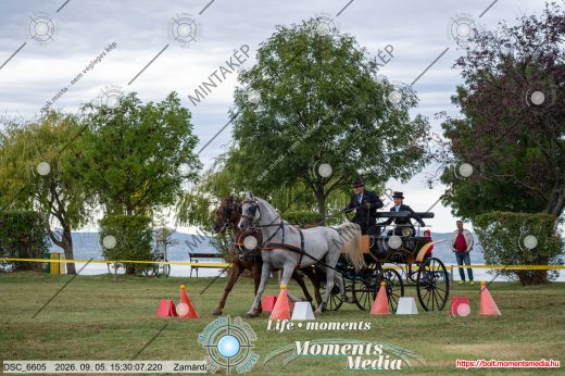 Mintakép 20260905-1562