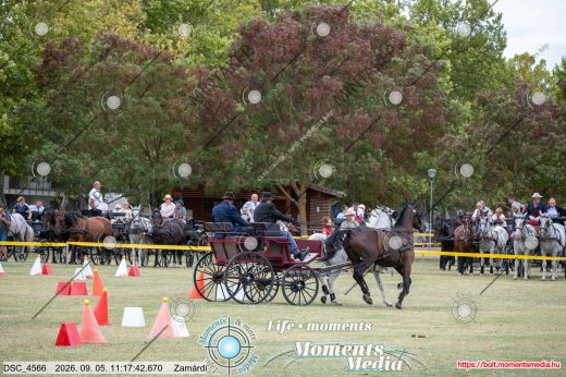 20260905-111742-DSC_4566.jpg