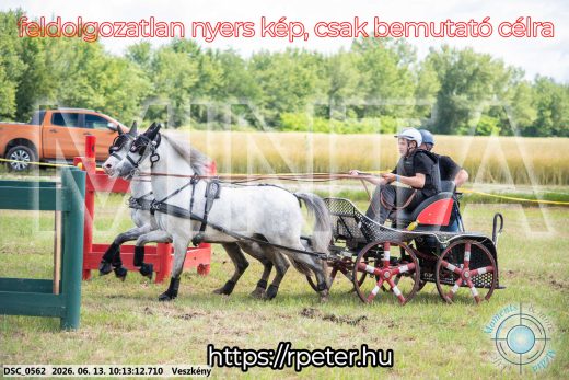 Mintakép 20260613-1865