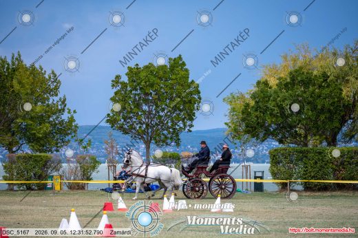 Mintakép 20260905-1656