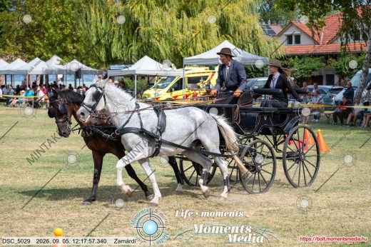 20260905-121757-DSC_5029.jpg