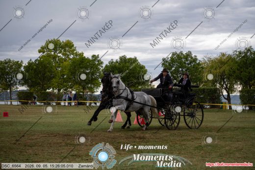 Mintakép 20260905-1741