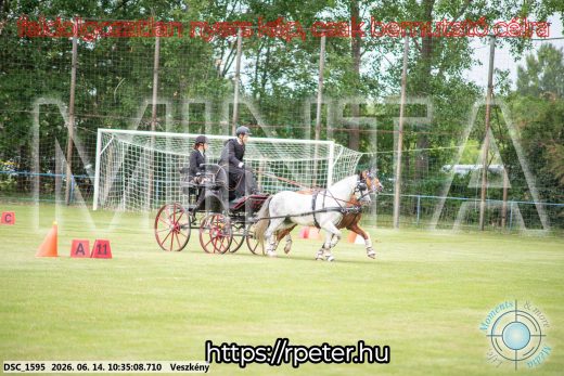 Mintakép 20260614-966